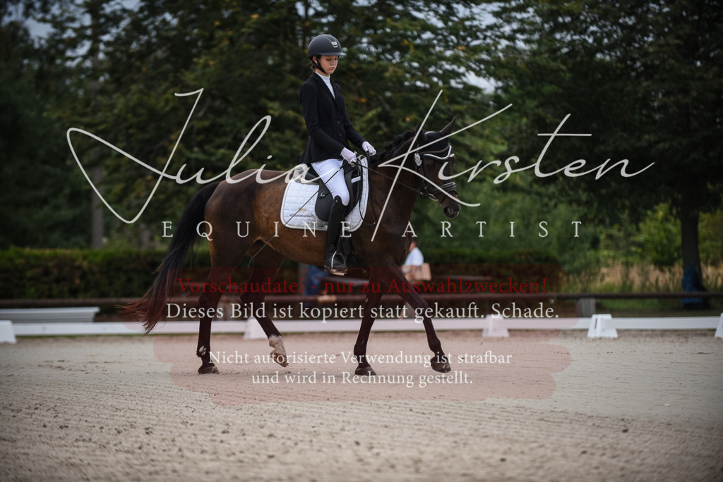 DSC_7905 | Pferde- und Turnierfotografie in Westsachsen. Pferdeportraits, Auftragszeichnungen und intuitive Kunst.