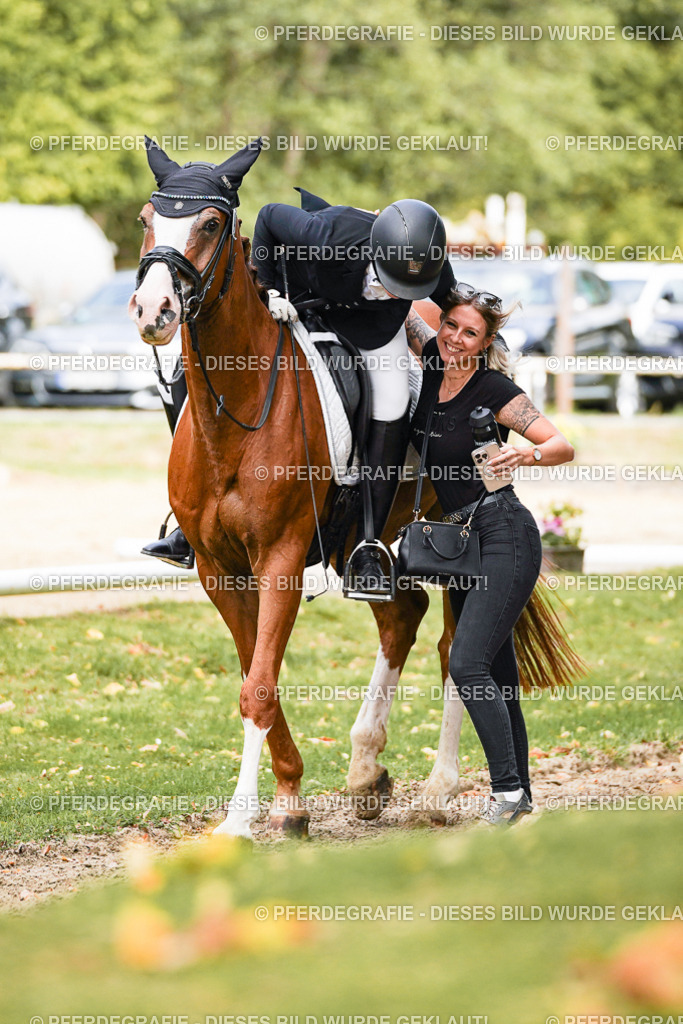 DSC03352 | Pferdegrafie