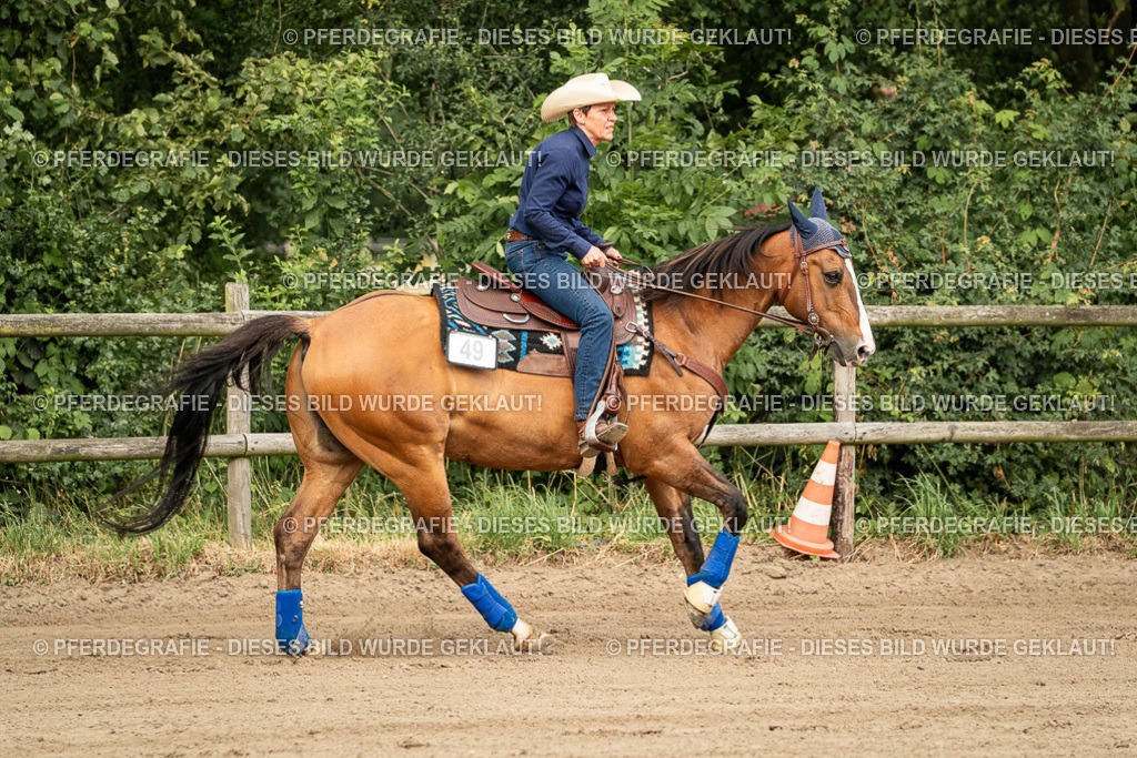 DSC04992 | Pferdegrafie