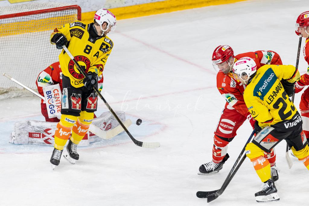 EHCB vs SCB 20260312_wb-4169 | Sportbilder, Sportfotograf, Hochzeits- und Eventfotografin, Flugshows, Portraits und Tiershooting, Aviation, Downhill, Nationalleague, Swissleague, International