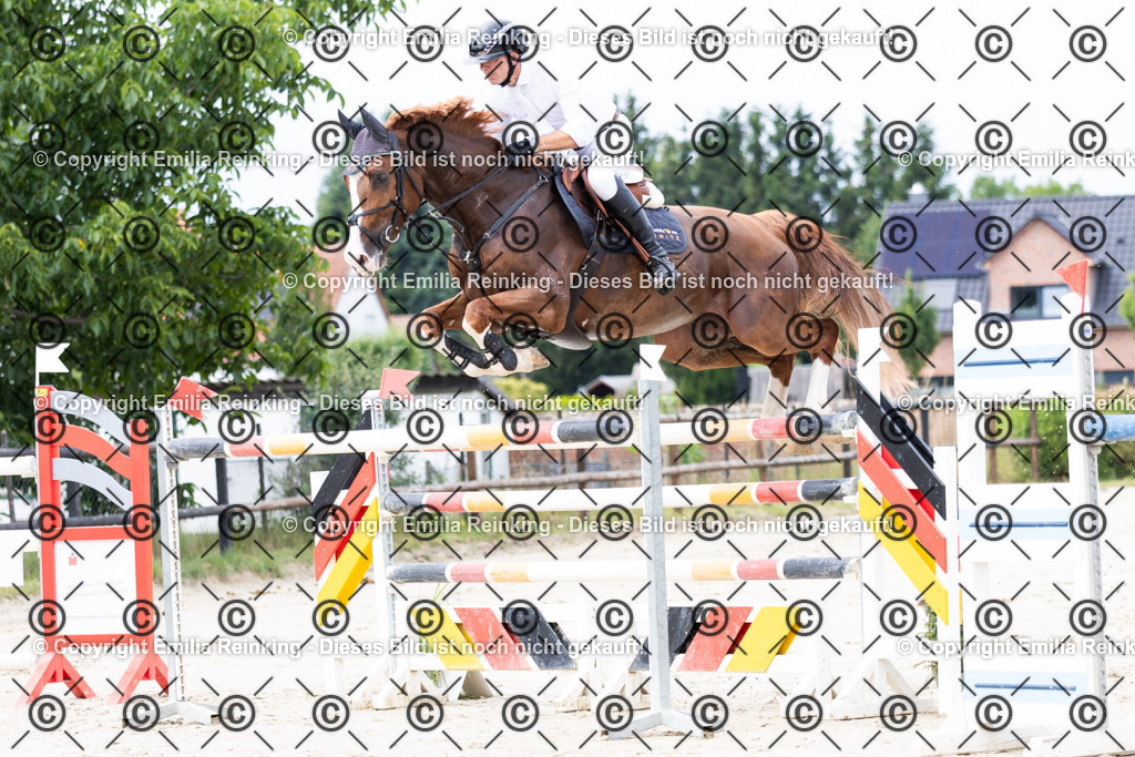 CL5A7866 | Emilia Reinking Fotografie - Realisiert mit Pictrs.com