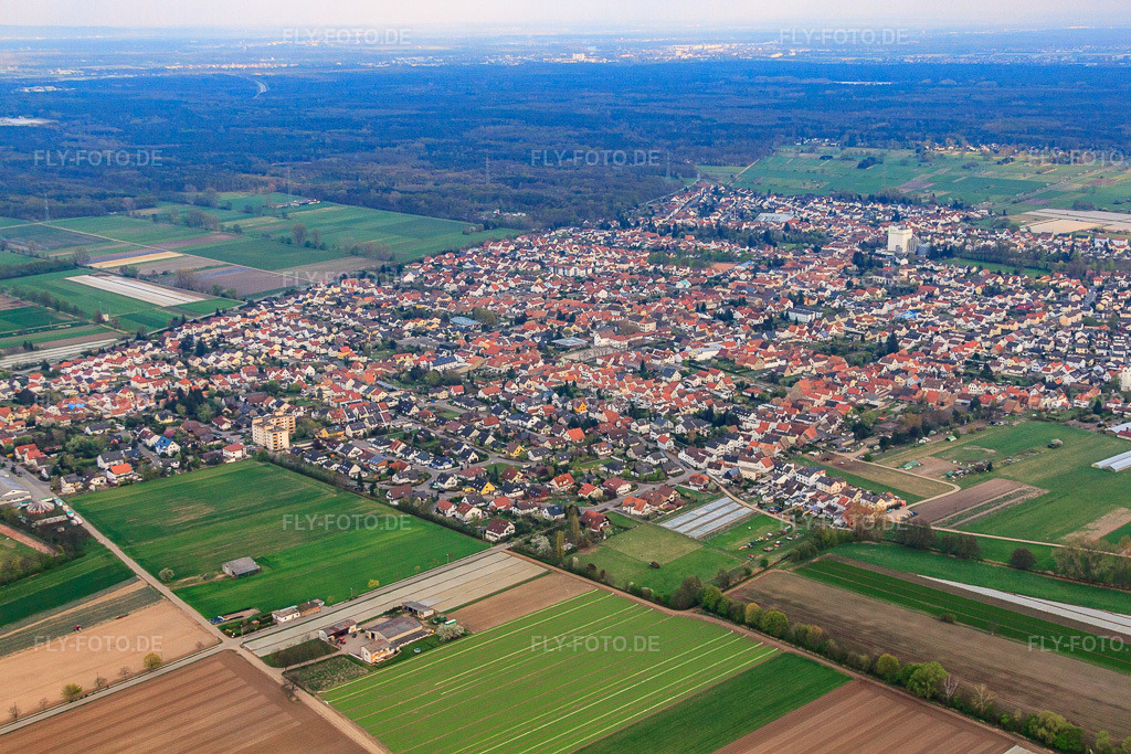 Luftbild: Ortsansicht aus Nordwesten im Ortsteil Iggelheim in Böhl-Iggelheim im Bundesland Rheinland-Pfalz in Deutschland. Foto: IMG_49882.jpg vom 13.04.2012 durch Werner Riehm/FLY-FOTO.de
