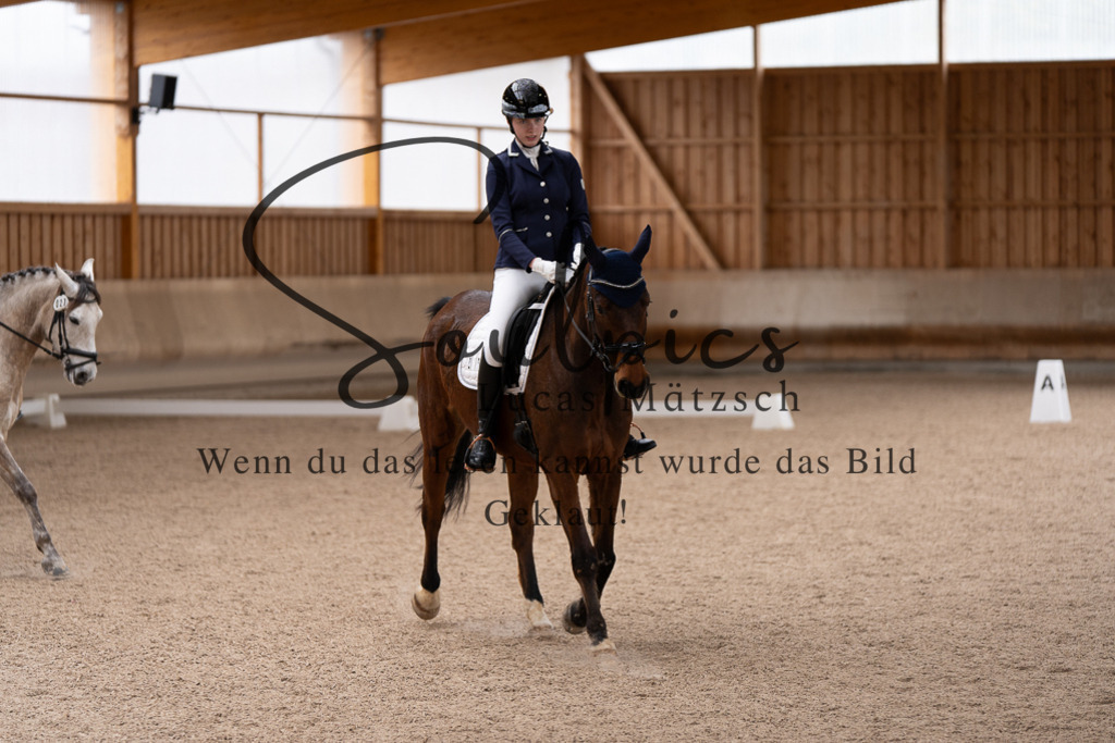 A7507182 | Pferdefotograf