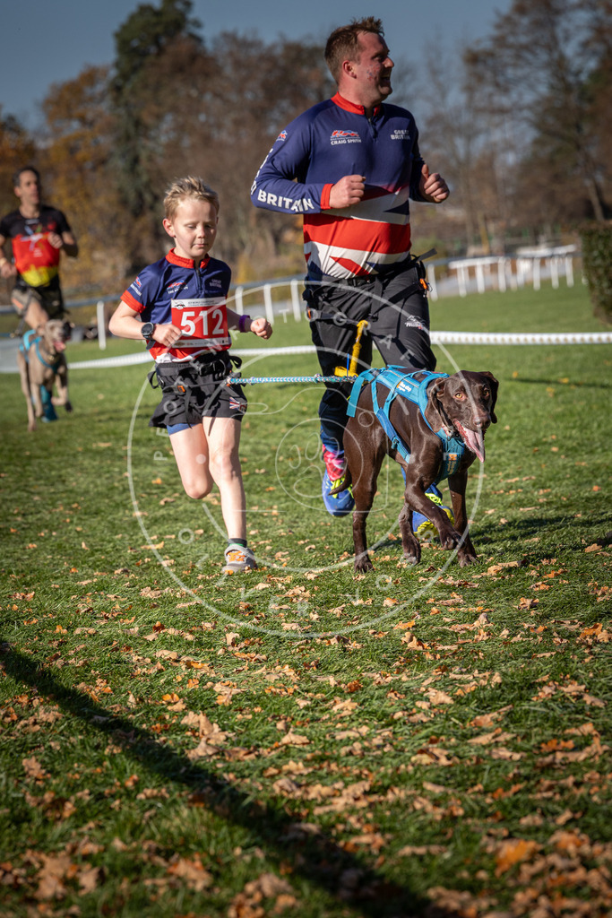CaniXpix_0L8A6895 | Hundefotografie, Tierfotograf, Pfotenfotografie, Fotoshooting Hund, Hunde Portrait, Hundesport, Hundeportraits, Heideshooting, Hunde, Sportfotograf, Hundefotograf, Turnierhundsport, THS,  - Realisiert mit Pictrs.com