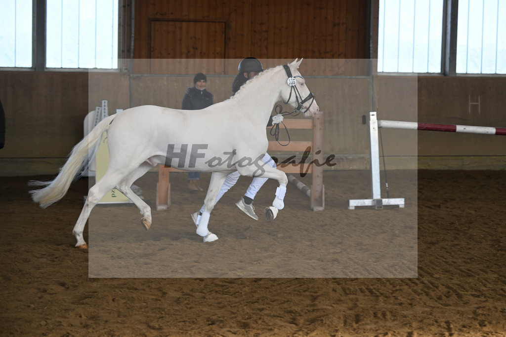 Kat-Nr. 5 EMR Gamarelli v. Giotto_Rupp_49250130 | hf-fotografie - Realisiert mit Pictrs.com