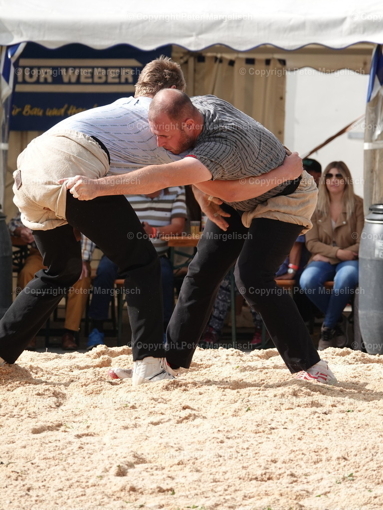 DSC05735 | Schwingen - Realisiert mit Pictrs.com