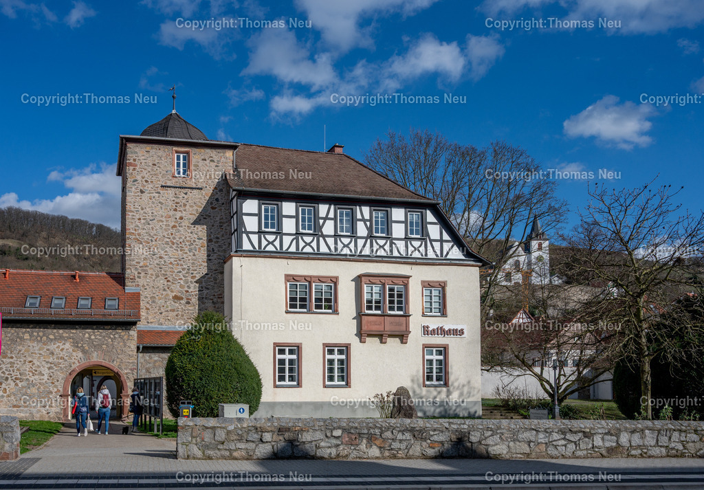 Zwingenberg_Rathaus_Fotografie-Thomas-Neu-94 | Die älteste Stadt an der Hessischen Bergstraße ist Zwingenberg. Die historische Altstadt mit schmucken Fachwerkhäusern lädt zum Verweilen ein. Hier der Stadtpark im Frühling mit dem Rathaus, im "Schlößchen"  einem alten Adelssitz, Bild: Thomas Neu