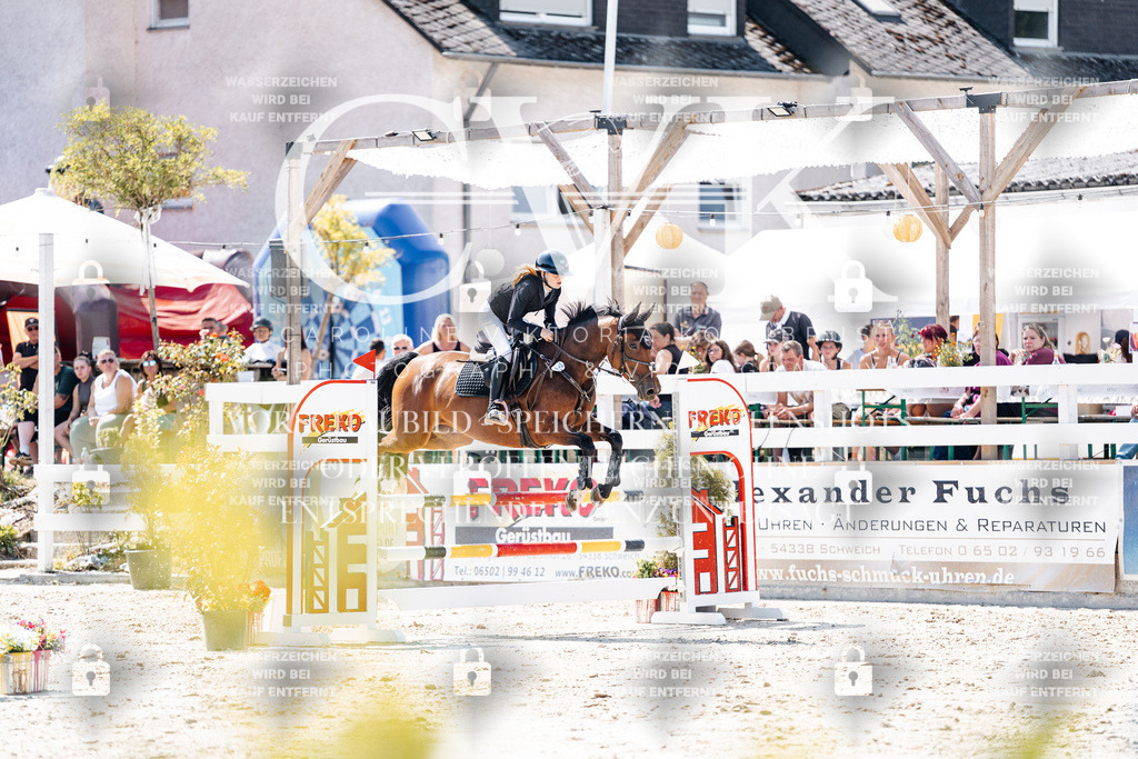 CK909320 | Turnierfotografie Pferdefotografie Trier Rheinland-Pfalz Pferdesport Reitsport Tierfotografie Sportfotografie Pferdevideo Pferdevideografie Equestrianvideography equestrianphotography  - Realisiert mit Pictrs.com