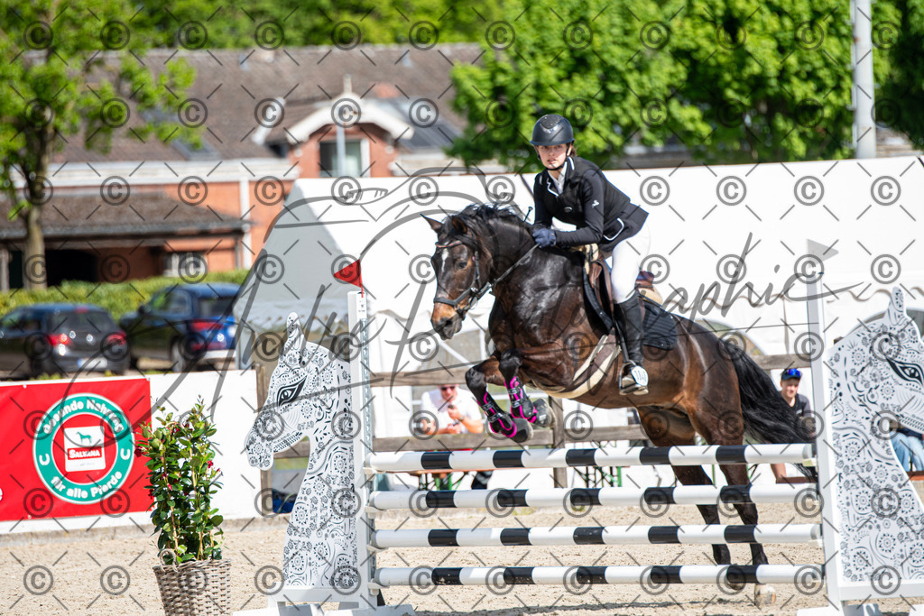 KPT_4951 | andre_photographic