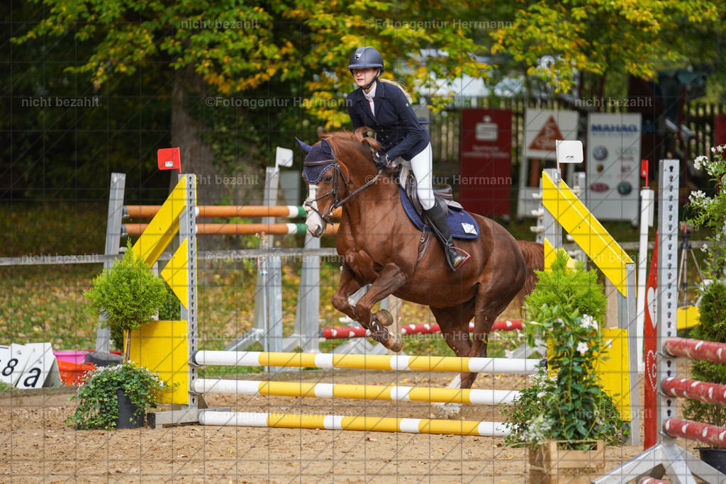 20221009-FAH08529 | Diessen am Ammersee, 2022, Dressur- und Springturnier, Reitsportbilder, Turnierfotografen Bayern, Pferdefotografen, Fotoagentur Herrmann, Turnierbilder