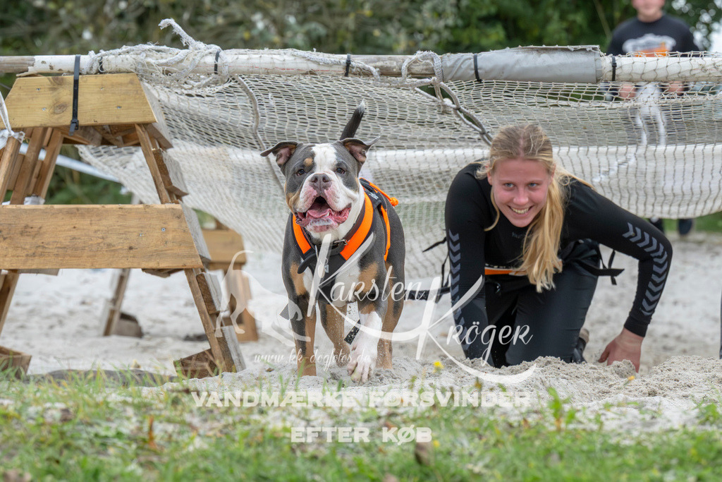 1036_ZZ94448 | kk-dogfotos
