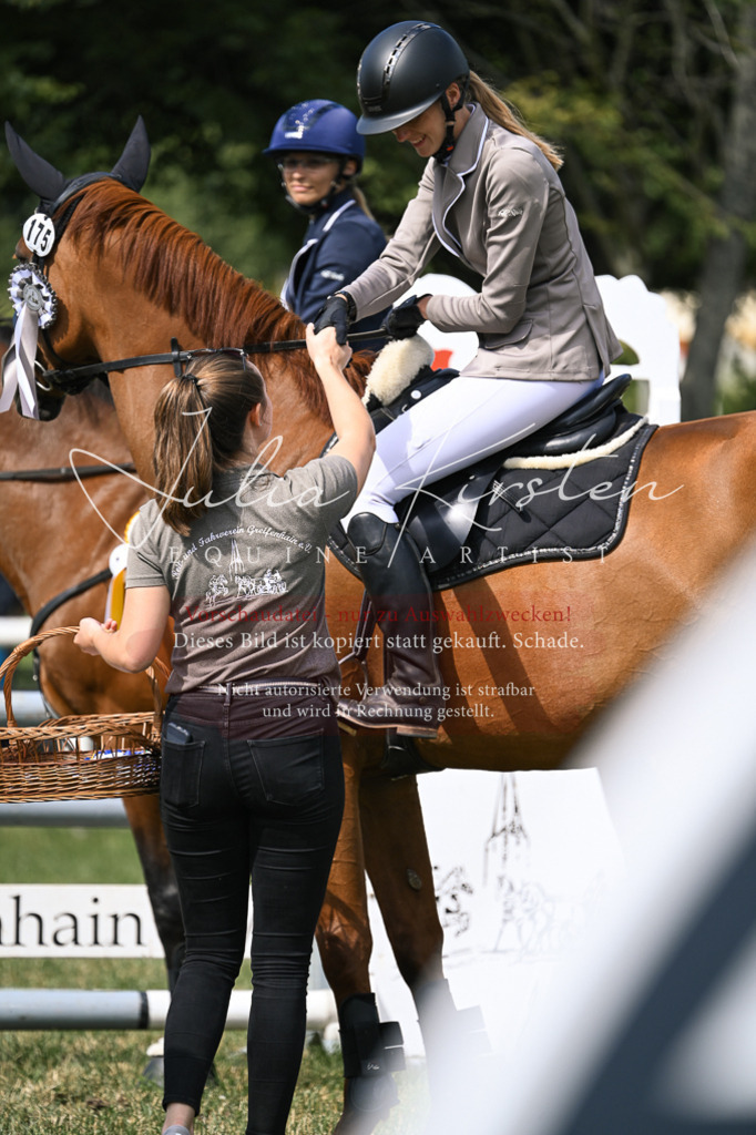 DSC_0692 | Pferde- und Turnierfotografie in Westsachsen. Pferdeportraits, Auftragszeichnungen und intuitive Kunst.