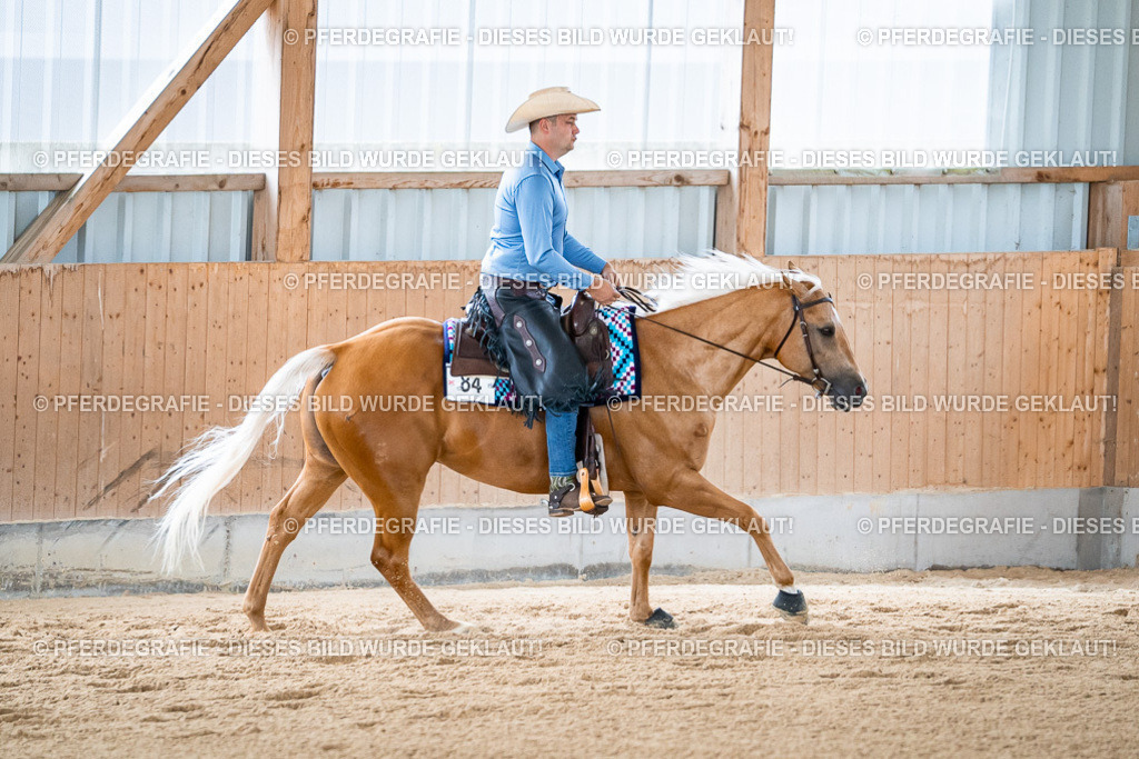 DSC08869 | Pferdegrafie