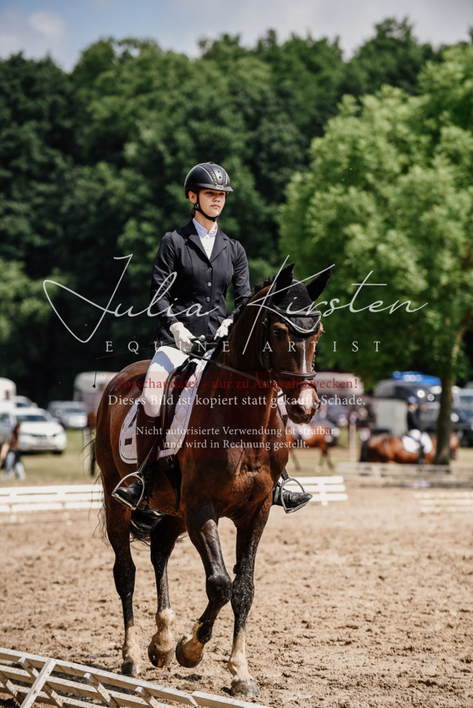 DSC_0807 | Pferde- und Turnierfotografie in Westsachsen. Pferdeportraits, Auftragszeichnungen und intuitive Kunst.