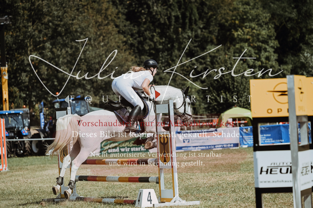DSC_9608 | Pferde- und Turnierfotografie in Westsachsen. Pferdeportraits, Auftragszeichnungen und intuitive Kunst.