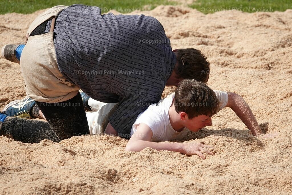 k-DSC03040 | Schwingen - Realisiert mit Pictrs.com