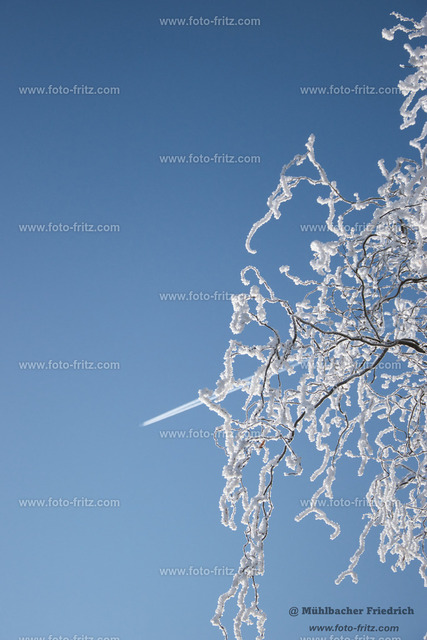 JAN_1321 | www.foto-fritz.com - Realisiert mit Pictrs.com