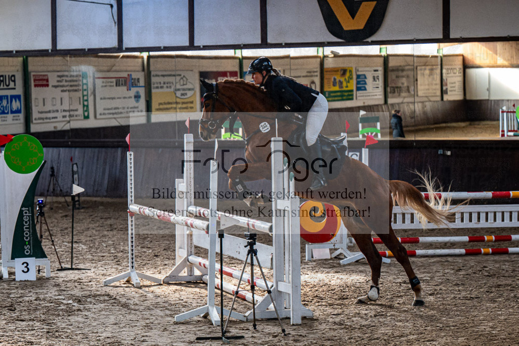 20240308-DOS_2982 | Entdecke hochwertige Reitturnierfotos von Foto Oger. Professionell, emotional und authentisch – jetzt Lieblingsmomente im Shop bestellen.Deutschlandweite Turnierfotografie. - Realisiert mit Pictrs.com