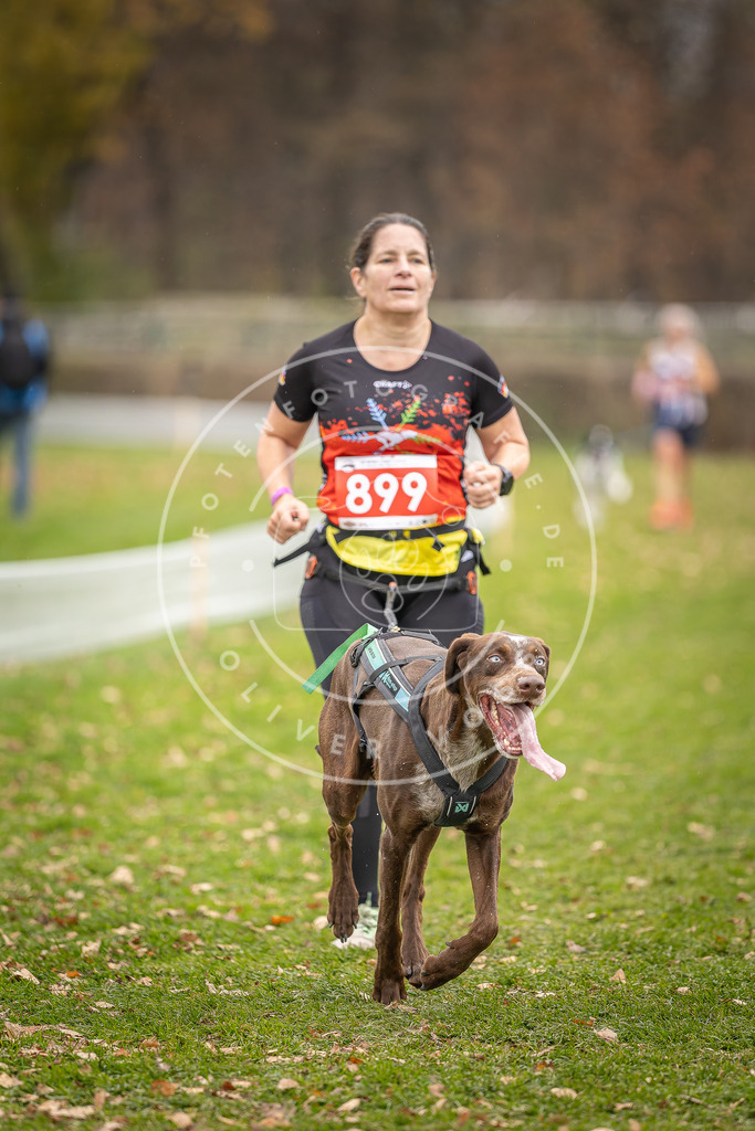 CaniXpix_DV3A6920 | Hundefotografie, Tierfotograf, Pfotenfotografie, Fotoshooting Hund, Hunde Portrait, Hundesport, Hundeportraits, Heideshooting, Hunde, Sportfotograf, Hundefotograf, Turnierhundsport, THS,  - Realisiert mit Pictrs.com
