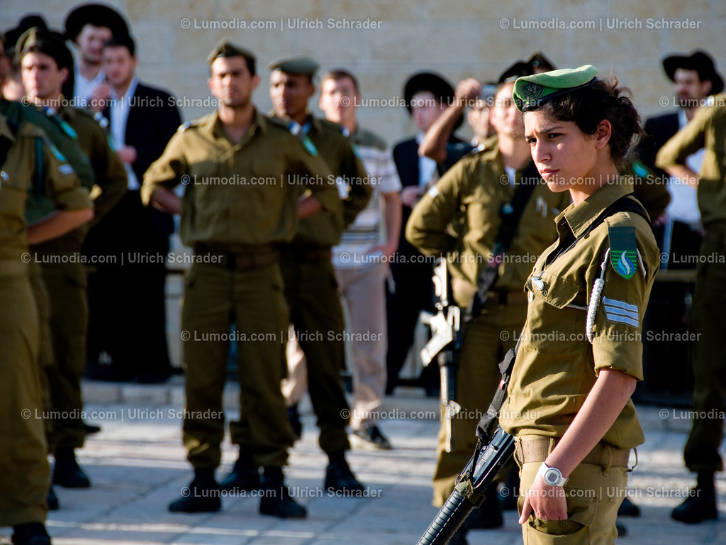 202510-150 | Stockfoto und Bilderpool mit Bildmaterial aus Deutschland, dem Harz, Halberstadt, Quedlinburg, Wernigerode und weltweit. Qualitativ hochwertige und professionelle Fotos anschauen und kaufen. - Realisiert mit Pictrs.com