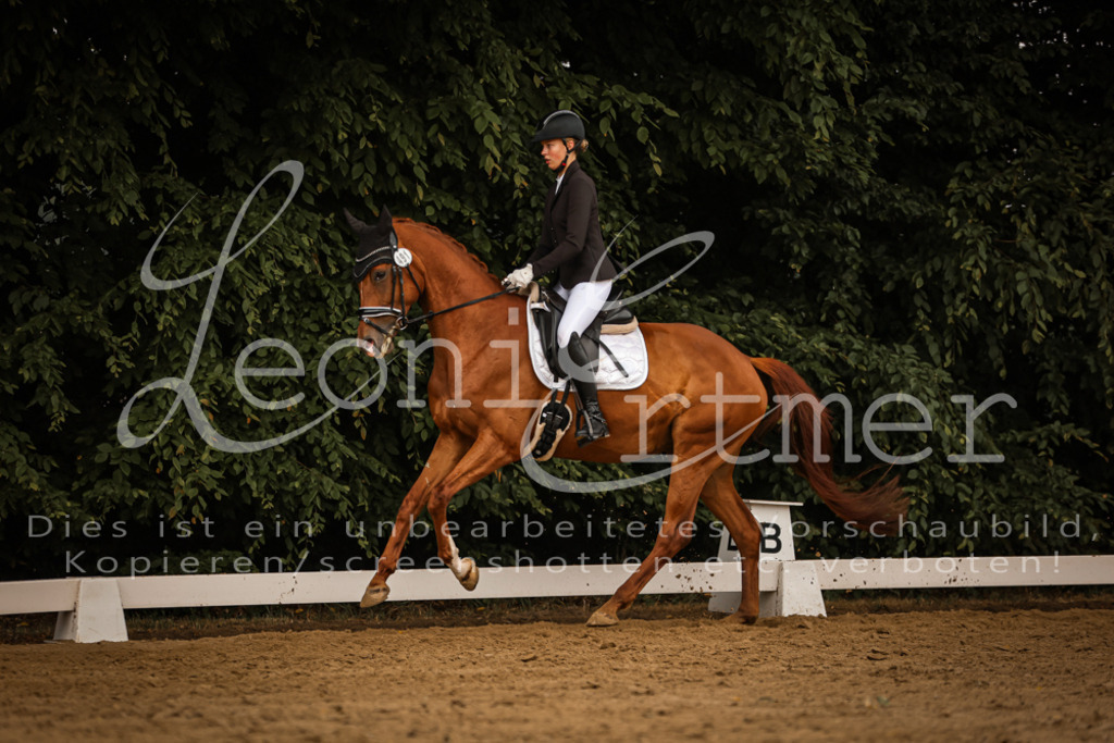 DoDrA00266 | Leoni Ertmer Photography - Realisiert mit Pictrs.com