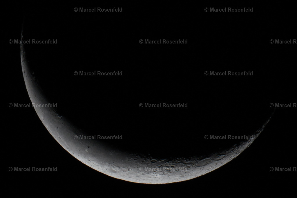 _DSC5400 | foto-rosenfeld