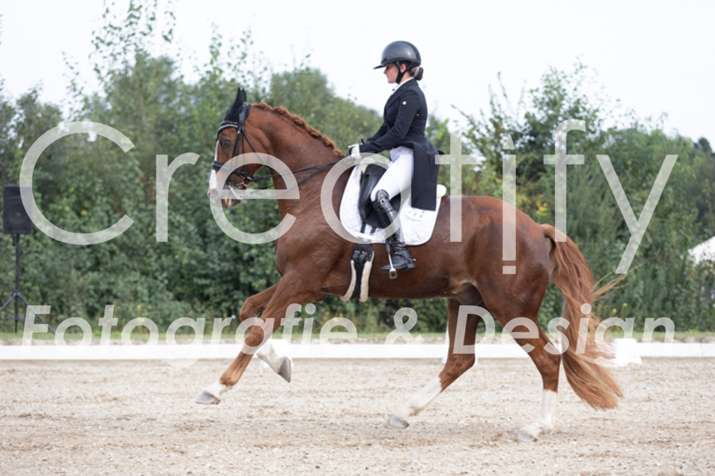 IMG_4817 | Creatify Fotografie