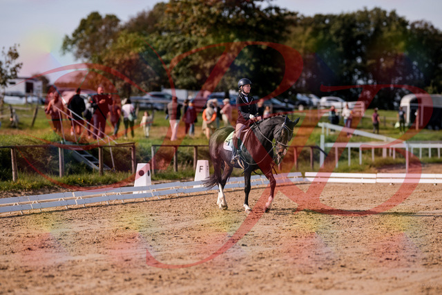 2026_10_03_Siefer-Hof_121533_Z81_17003841 | Professionelle Reitsport-, Turnier- und Eventfotografie von Robert Broda. Galerien mit ausgewählten und bearbeiteten Bildern direkt online ansehen und bestellen.