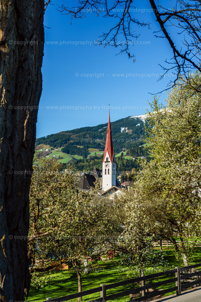 Fügen im Frühling copyright  Thomas Pfister-1 | PHOTOGRAPHY BY THOMAS PFISTER