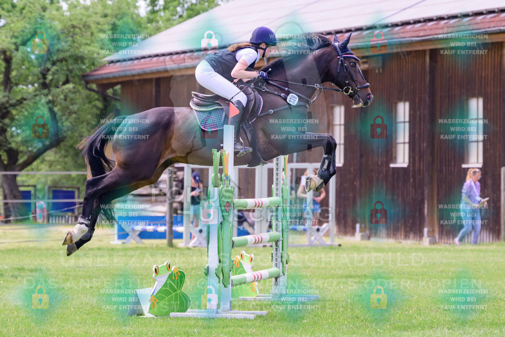 30052026-Forstinning-Prfg23-0213 | Fokus Hufschlag Fotografie - Realisiert mit Pictrs.com