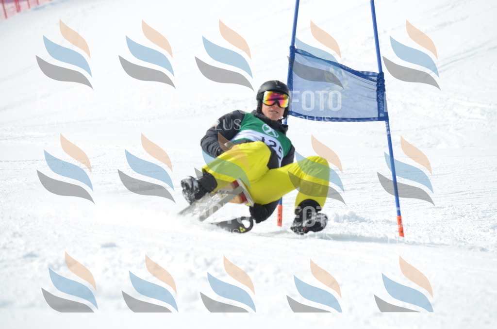 D9304 | holidayphoto