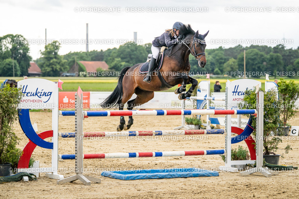 DSC06772 | Pferdegrafie