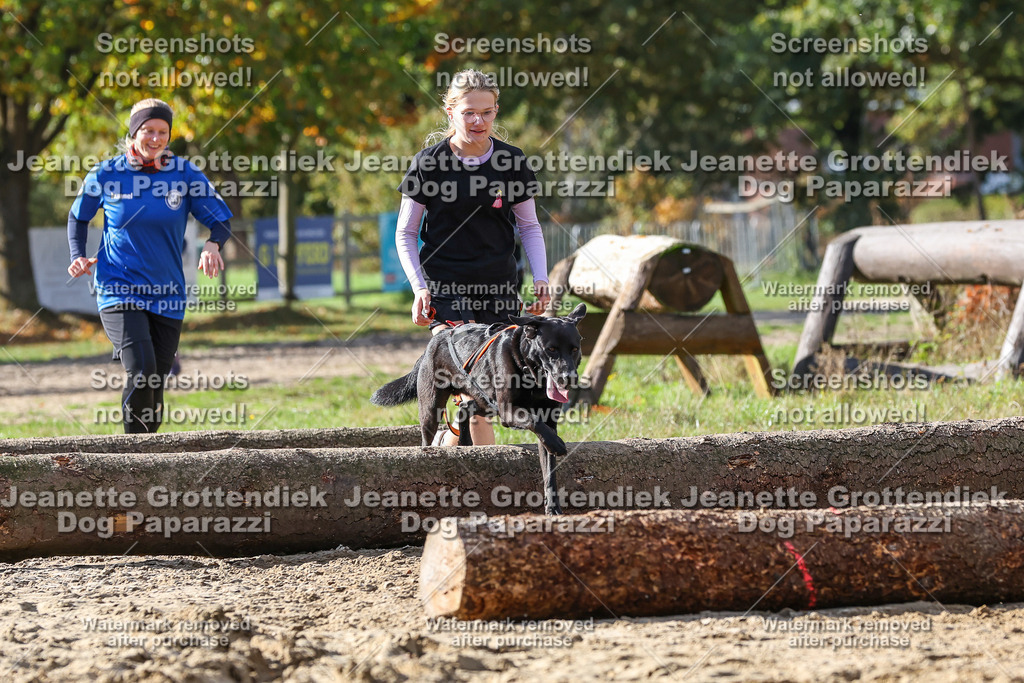 Dog Paparazzi - Strongdog 10-25-4921 | Dog Paparazzi Jeanette Grottendiek Fotografie & Videografie - Realisiert mit Pictrs.com