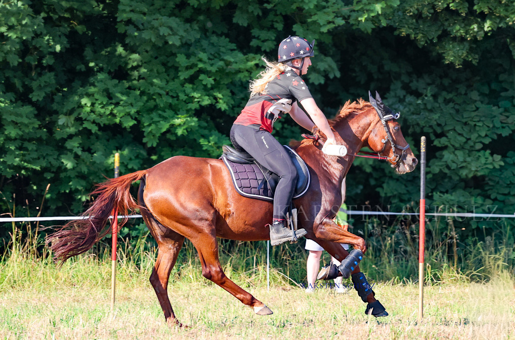 1B3A8693 | Reitsport Reiten