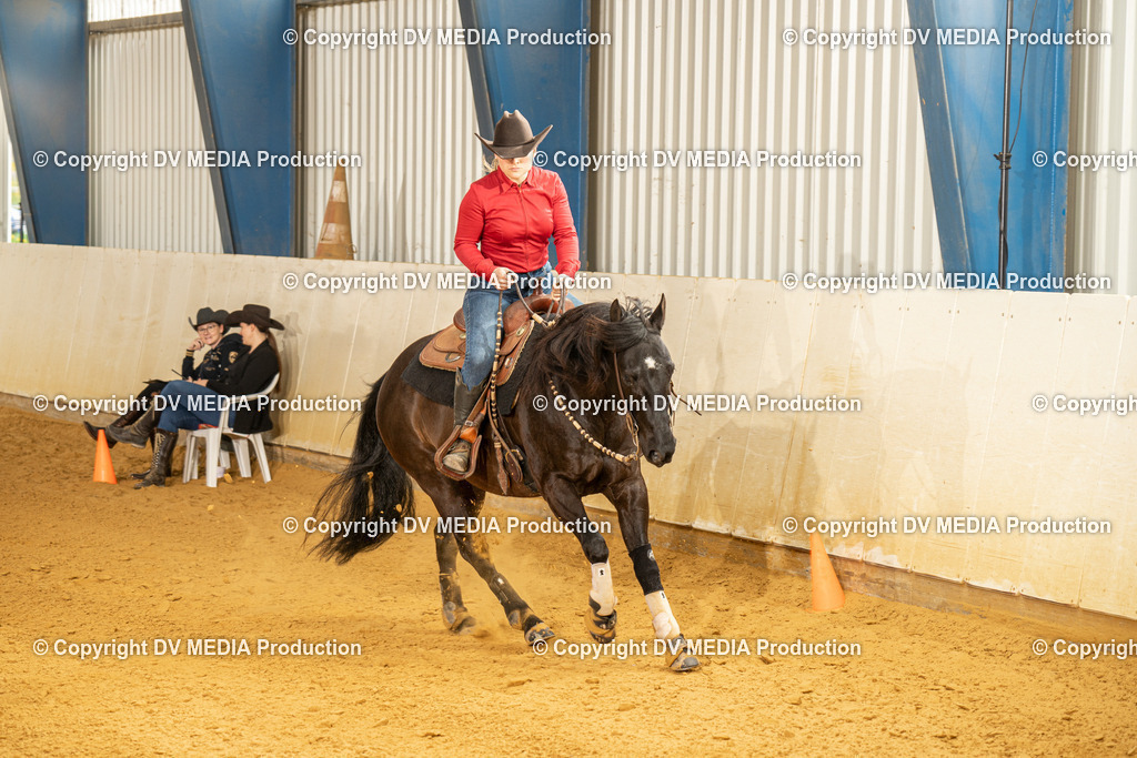 MIT01123 | dv-media-shop - Realisiert mit Pictrs.com