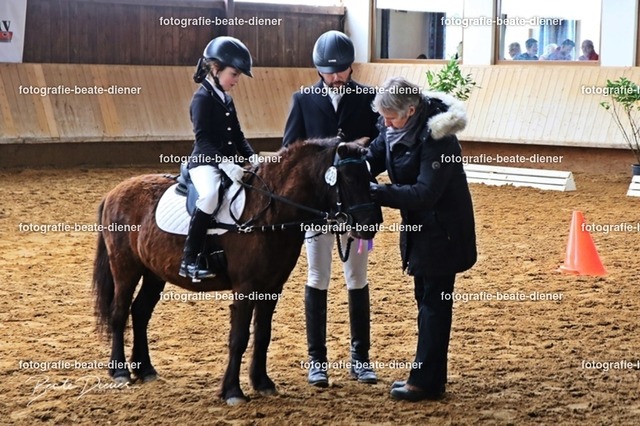 JugendTrophy1191 | Fotografie, Tiere, Hunde, Katzen, Pferde, Sportfotografie, Fotosession, Tierfotografie, Turnierfotografie, Fotografin, Fotograf - Realisiert mit Pictrs.com