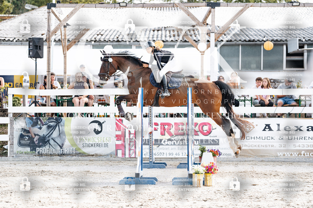 CK906388 | Turnierfotografie Pferdefotografie Trier Rheinland-Pfalz Pferdesport Reitsport Tierfotografie Sportfotografie Pferdevideo Pferdevideografie Equestrianvideography equestrianphotography  - Realisiert mit Pictrs.com