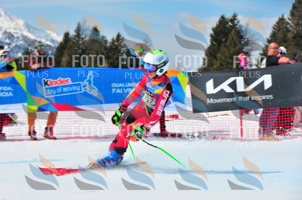 DSC_1509 | holidayphoto