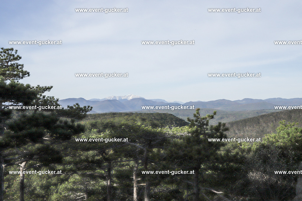 IMG_2890 | Sportfoto event-gucker Herbert Scherer