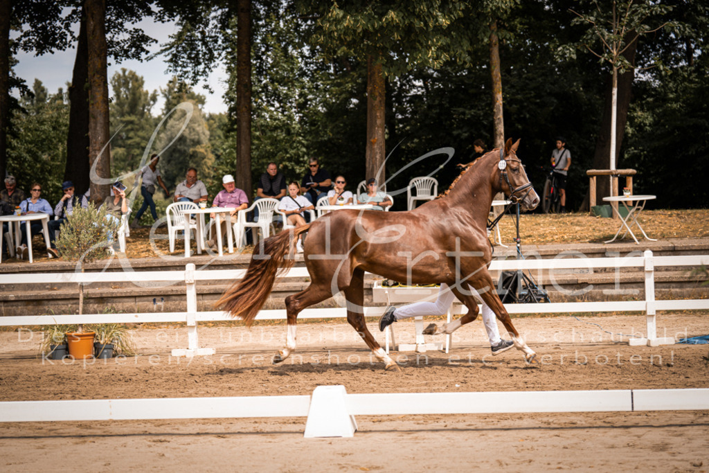 3.Fr00087 | Leoni Ertmer Photography - Realisiert mit Pictrs.com