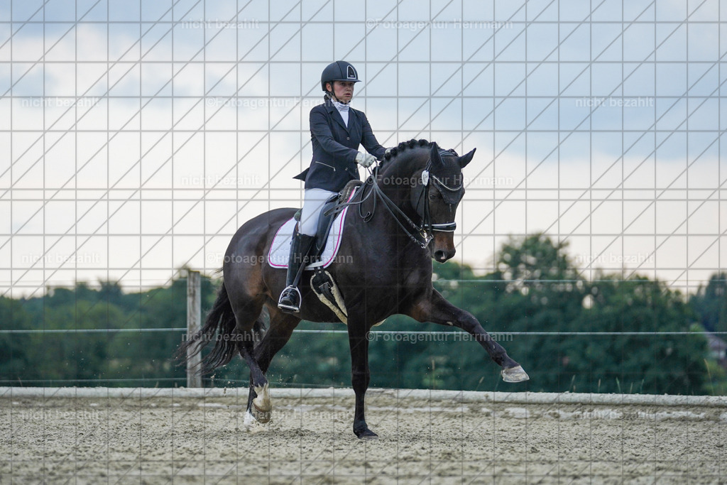 20230826-FAH06319 | Forstinning, 2023, Dressurturnier, Turniersportbilder, Turnierfotografen Bayern, Fotoagentur Herrmann, Reitsportfotografie, Turnierbilder