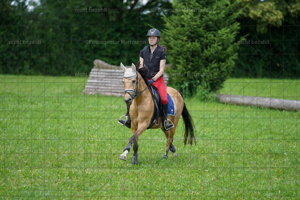20240622-FAH07404 | Turnierfotografen Bayern, Reitsportbilder aus dem Geländekurs mit Felix Etzel auf dem Gut Waitzacker 2024