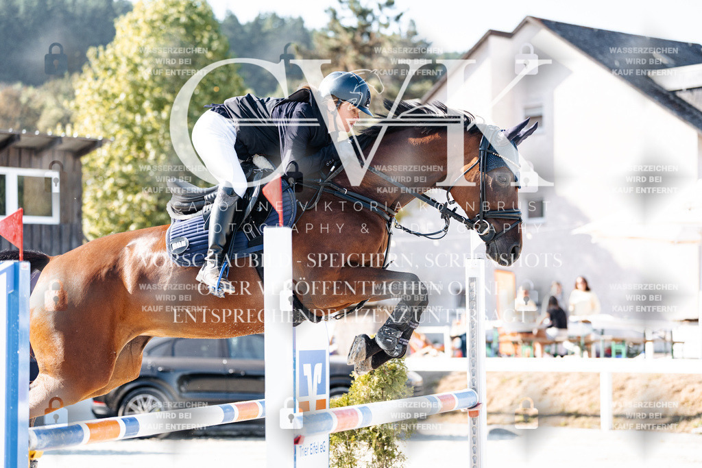 CK904223 | Turnierfotografie Pferdefotografie Trier Rheinland-Pfalz Pferdesport Reitsport Tierfotografie Sportfotografie Pferdevideo Pferdevideografie Equestrianvideography equestrianphotography  - Realisiert mit Pictrs.com
