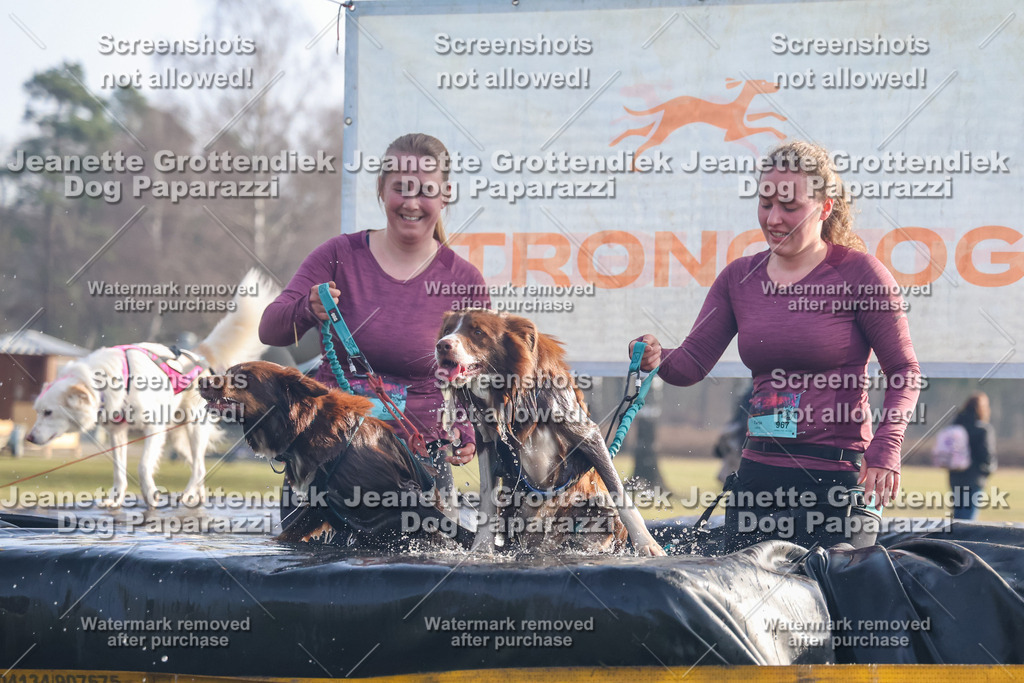 Dog Paparazzi - Strongdog North Mrz26-128 | Dog Paparazzi Jeanette Grottendiek Fotografie & Videografie - Realisiert mit Pictrs.com