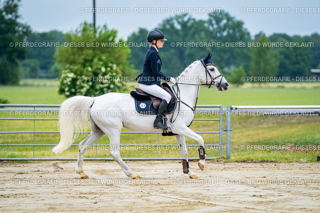 DSC01684 | Pferdegrafie