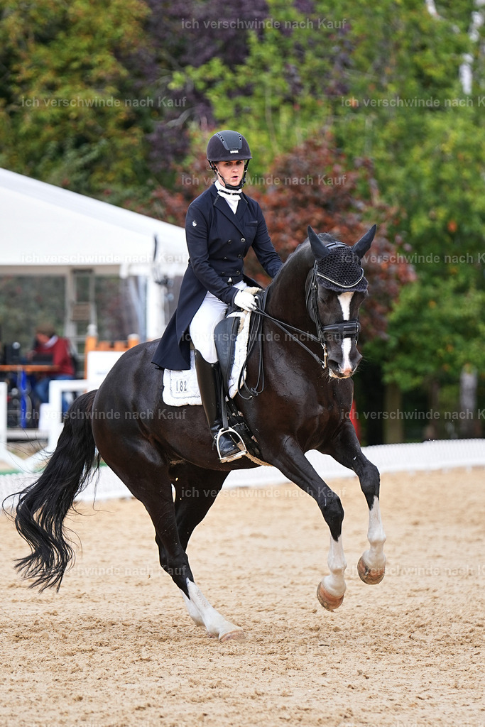 6-182-AMATUER-DRESSUR S_  -Marixx-3716 | working equitationturnier fotograf videograf stoibphotography marixx film working equitation deutschland reitsport turnierfotografie eventfotografie equestrian events