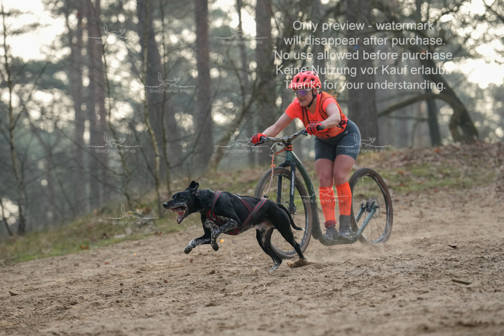 Scooter1-88 | stephaniefillaphotographie - Realisiert mit Pictrs.com