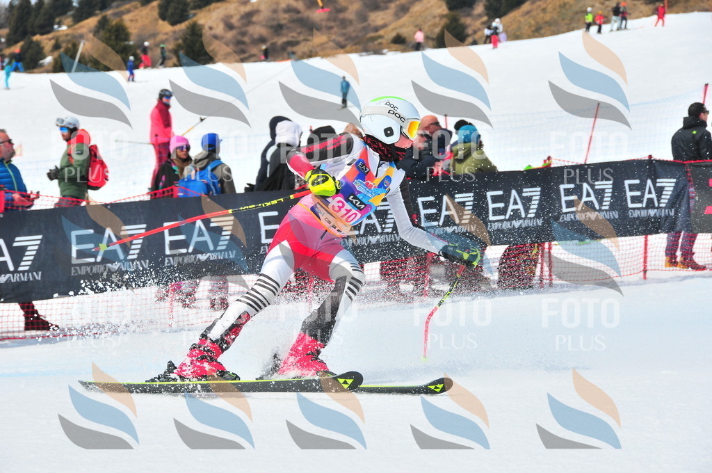 DSC_6631 | holidayphoto