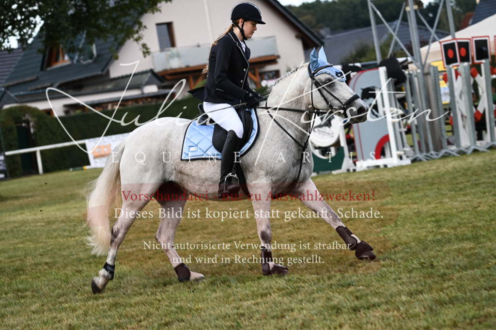 DSC_5521 | Pferde- und Turnierfotografie in Westsachsen. Pferdeportraits, Auftragszeichnungen und intuitive Kunst.
