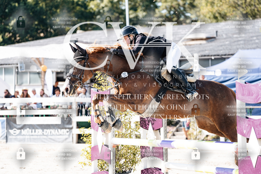 CK907792 | Turnierfotografie Pferdefotografie Trier Rheinland-Pfalz Pferdesport Reitsport Tierfotografie Sportfotografie Pferdevideo Pferdevideografie Equestrianvideography equestrianphotography  - Realisiert mit Pictrs.com